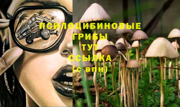 шишки Богородск