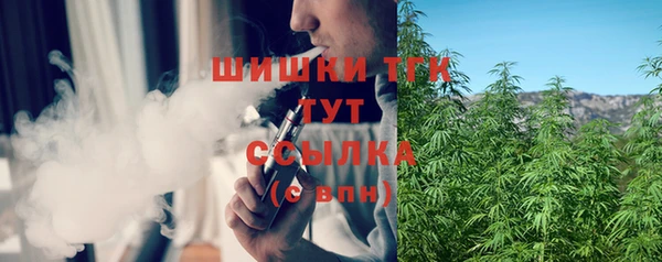 соль ск Бородино