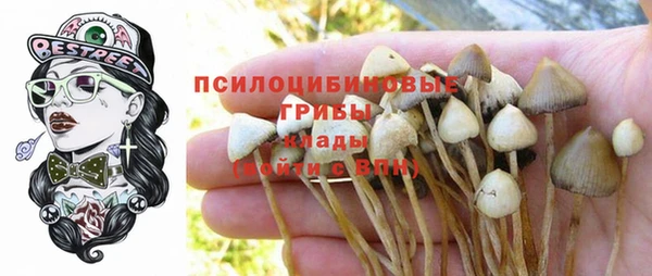 кокс Богданович