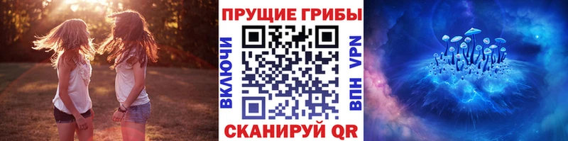 Псилоцибиновые грибы мицелий  KRAKEN вход  Белая Холуница 